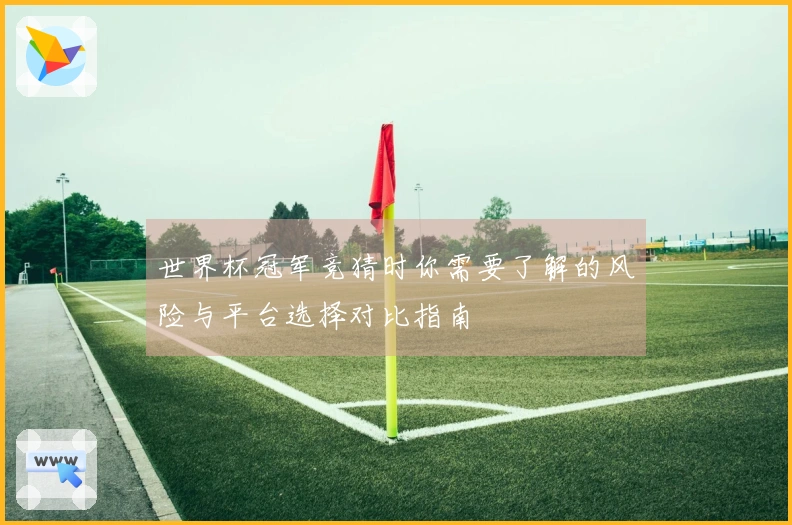 世界杯冠军竞猜时你需要了解的风险与平台选择对比指南