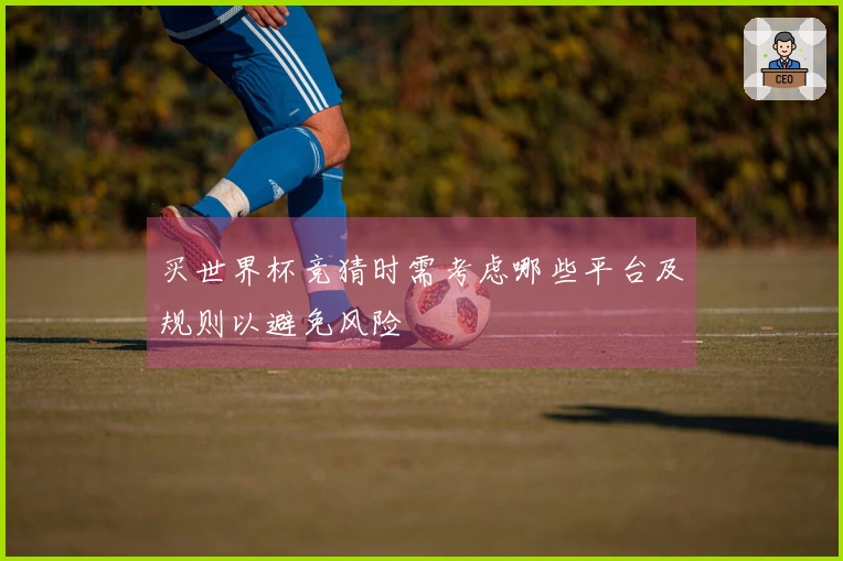 买世界杯竞猜时需考虑哪些平台及规则以避免风险