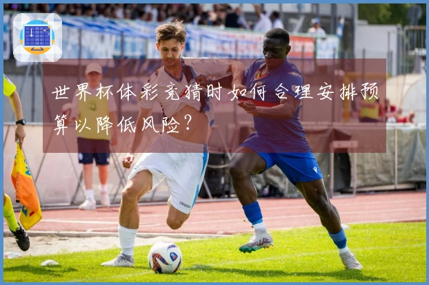 世界杯体彩竞猜时如何合理安排预算以降低风险？