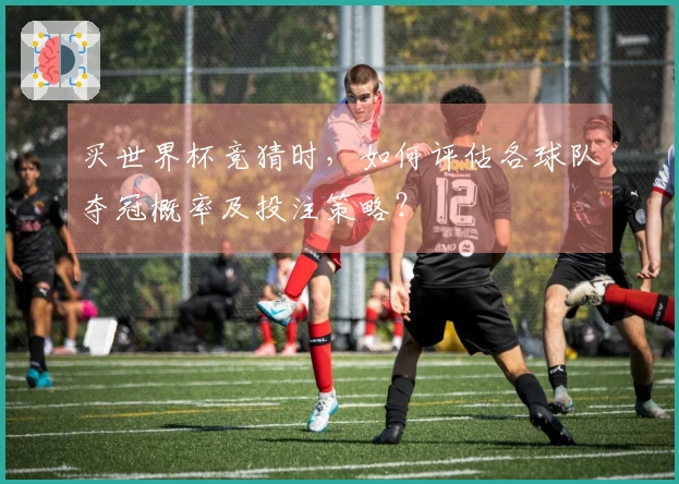 买世界杯竞猜时，如何评估各球队夺冠概率及投注策略？