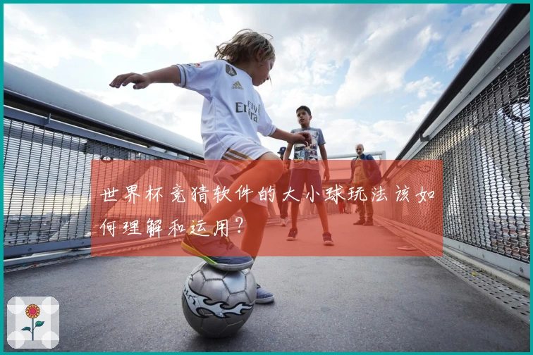 世界杯竞猜软件的大小球玩法该如何理解和运用？