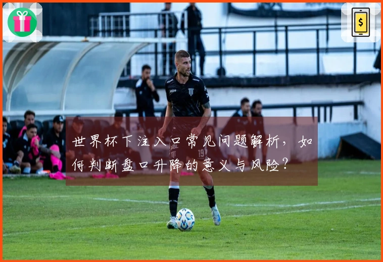 世界杯下注入口常见问题解析，如何判断盘口升降的意义与风险？
