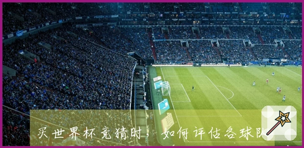 买世界杯竞猜时，如何评估各球队夺冠概率及投注策略？