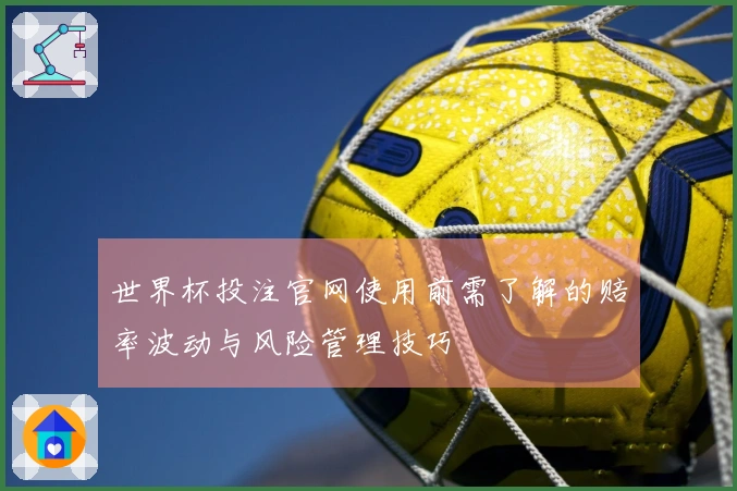 世界杯投注官网使用前需了解的赔率波动与风险管理技巧