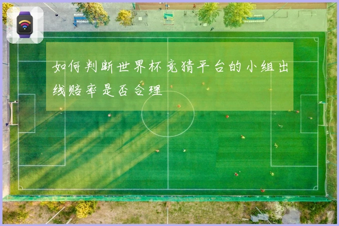 如何判断世界杯竞猜平台的小组出线赔率是否合理