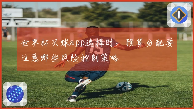 世界杯买球app选择时，预算分配要注意哪些风险控制策略