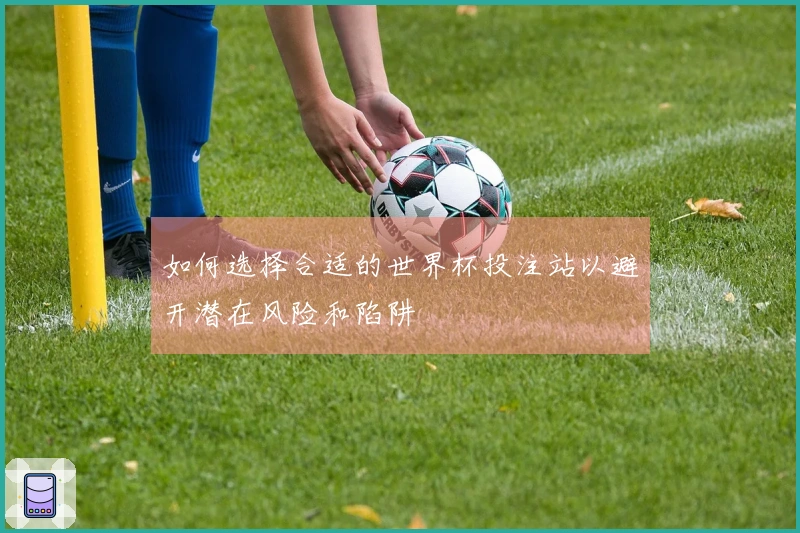 如何选择合适的世界杯投注站以避开潜在风险和陷阱