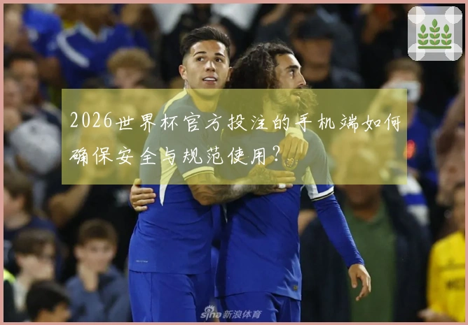 2026世界杯官方投注的手机端如何确保安全与规范使用？