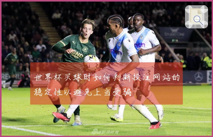 世界杯买球时如何判断投注网站的稳定性以避免上当受骗