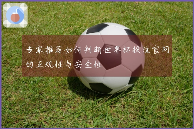 专家推荐如何判断世界杯投注官网的正规性与安全性