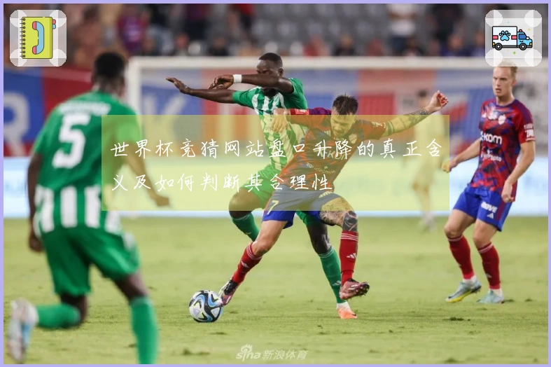 世界杯竞猜网站盘口升降的真正含义及如何判断其合理性