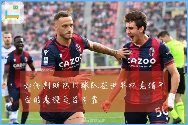 如何判断热门球队在世界杯竞猜平台的表现是否可靠