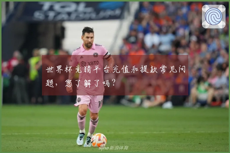 世界杯竞猜平台充值和提款常见问题，您了解了吗？