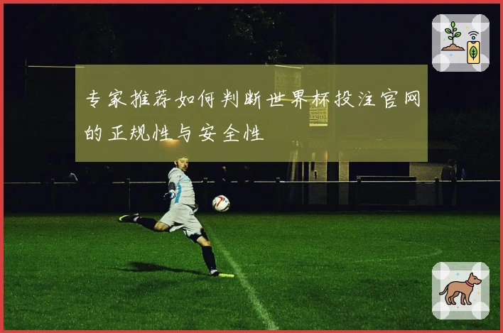 专家推荐如何判断世界杯投注官网的正规性与安全性
