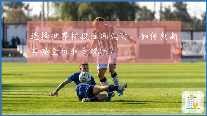 选择世界杯投注网站时，如何判断其安全性和合规性？