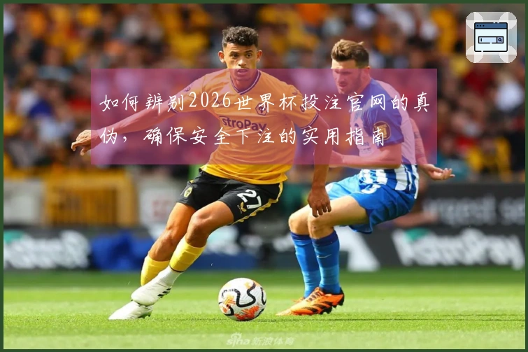 如何辨别2026世界杯投注官网的真伪，确保安全下注的实用指南