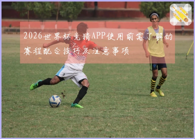 2026世界杯竞猜APP使用前需了解的赛程配合技巧及注意事项