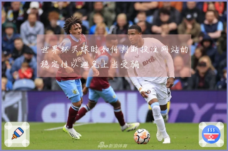 世界杯买球时如何判断投注网站的稳定性以避免上当受骗