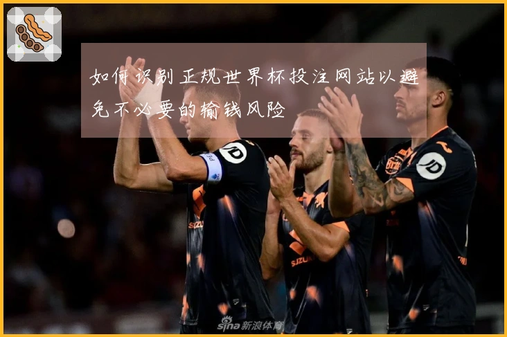 如何识别正规世界杯投注网站以避免不必要的输钱风险
