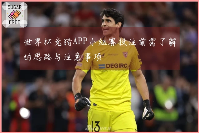 世界杯竞猜APP小组赛投注前需了解的思路与注意事项