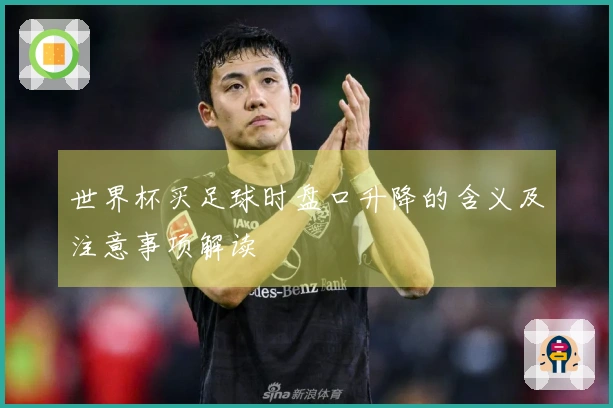 世界杯买足球时盘口升降的含义及注意事项解读
