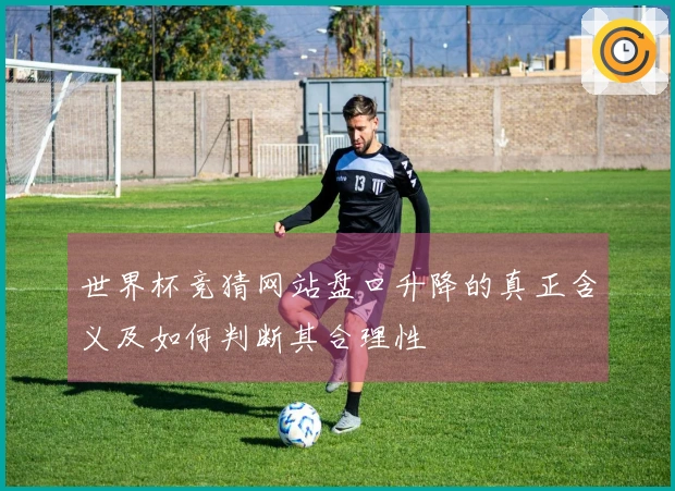 世界杯竞猜网站盘口升降的真正含义及如何判断其合理性
