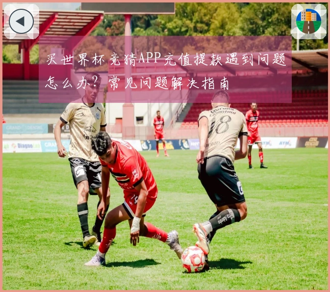 买世界杯竞猜APP充值提款遇到问题怎么办？常见问题解决指南