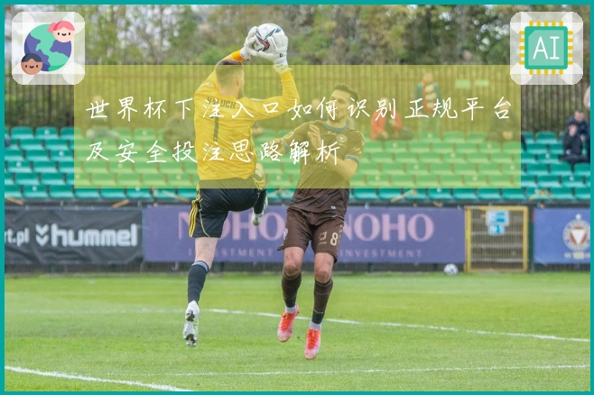 世界杯下注入口如何识别正规平台及安全投注思路解析