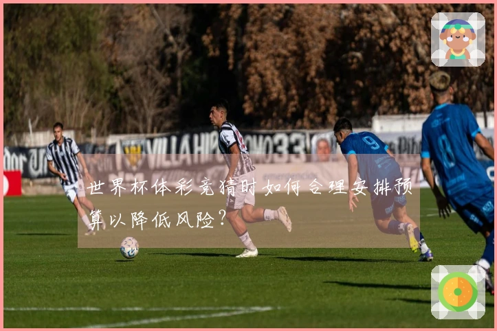 世界杯体彩竞猜时如何合理安排预算以降低风险？