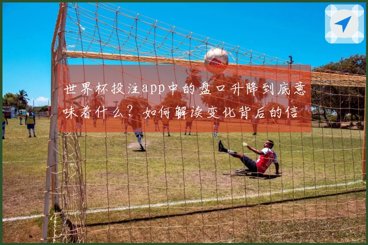 世界杯投注app中的盘口升降到底意味着什么？如何解读变化背后的信息？