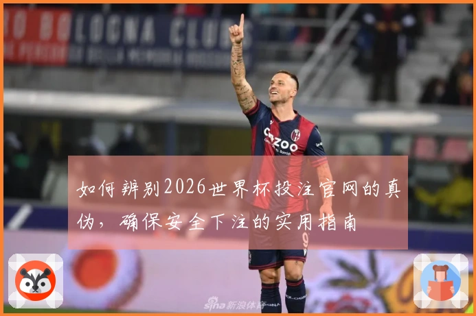 如何辨别2026世界杯投注官网的真伪，确保安全下注的实用指南