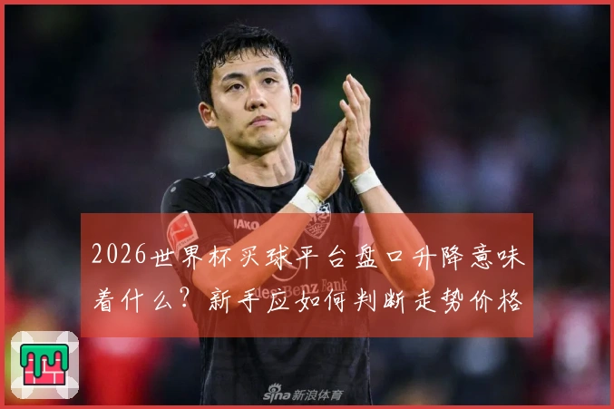2026世界杯买球平台盘口升降意味着什么？新手应如何判断走势价格变化