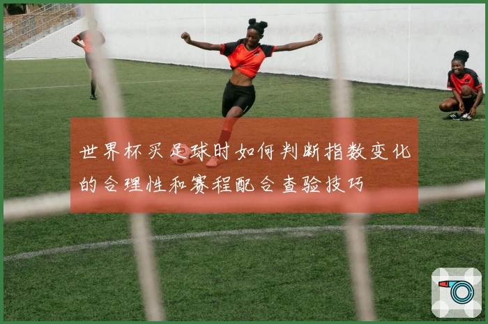 世界杯买足球时如何判断指数变化的合理性和赛程配合查验技巧