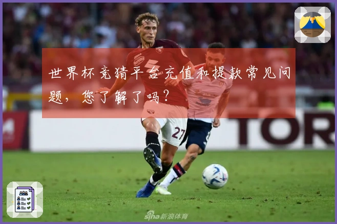 世界杯竞猜平台充值和提款常见问题，您了解了吗？