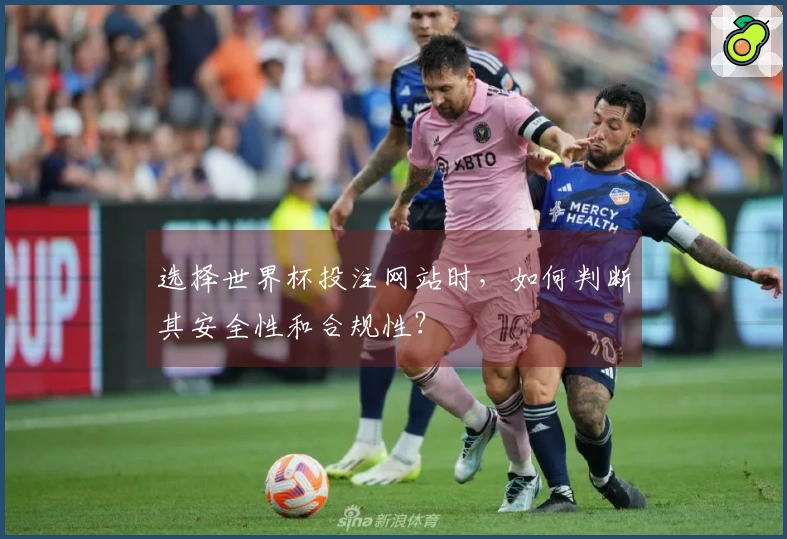 选择世界杯投注网站时，如何判断其安全性和合规性？