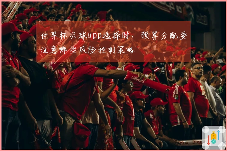 世界杯买球app选择时，预算分配要注意哪些风险控制策略