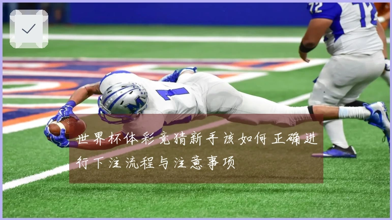 世界杯体彩竞猜新手该如何正确进行下注流程与注意事项