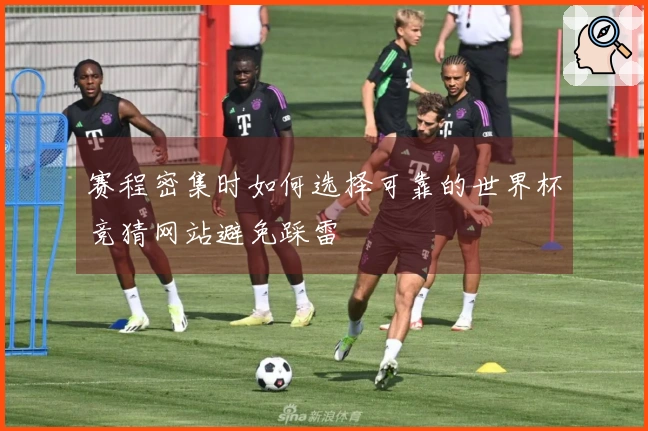 赛程密集时如何选择可靠的世界杯竞猜网站避免踩雷