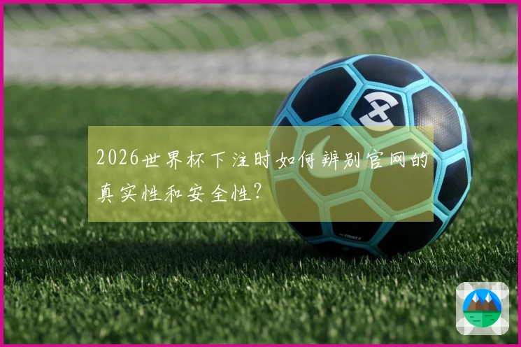 2026世界杯下注时如何辨别官网的真实性和安全性？